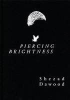 Piercing Brightness | Shezad Dawood