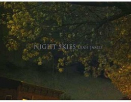 Leah James: Night&#160;Skies