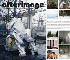 Afterimage Vol. 40 No. 3