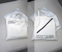 Shane Krepakevich: The Gendai Tote&#160;Bag