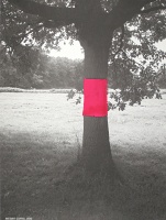 Instant Coffee: Proposal To a Monument, 2010