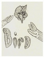 Bird - McLean, Jason