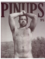 Pinups, issue 6