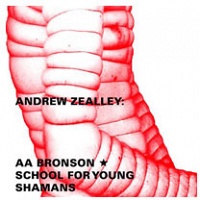 ANDREW ZEALLEY: AA BRONSON’S SCHOOL FOR YOUNG SHAMANS