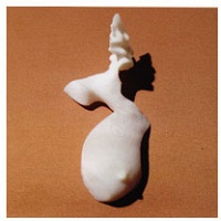 Nichola Feldman-Kiss: chimaera set:&#160;breast