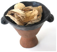 Bowl of Beaver Chips