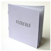 Amy Ching-Yan Lam:&#160;Icebergs