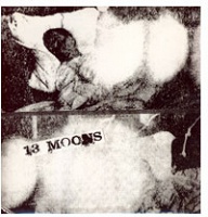 13 Moons and Disguises: split&#160;album