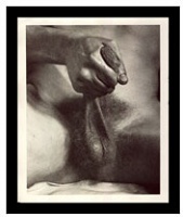 Cock Photos - Framed Artist Proof Set