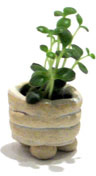 Miniature Garden - Doyle, Maura