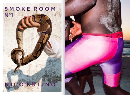 Smoke Room N°1 // Nico Krijno