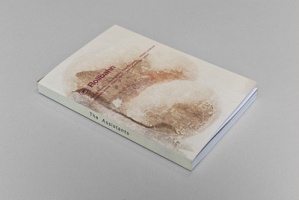 Uri Aran, Nairy Baghramian, Matthew Brannon, Andrea Buttner, Mierle Laderman Ukeles, Rosalind Nashashibi, Adrian Piper, Laure Prouvost, Slavs and Tatars, and Cathy Wilkes: The Assistants

Edited by Fionn&#160;Meade