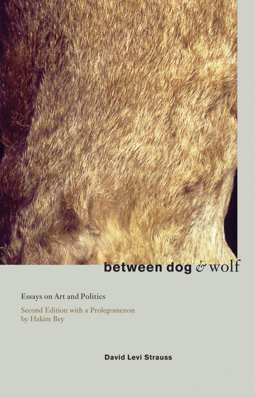 Between Dog and Wolf

Essays on Art & Politics

David Levi Strau