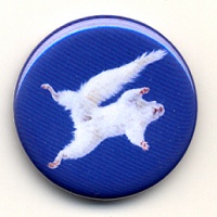 White Squirrel Magnet