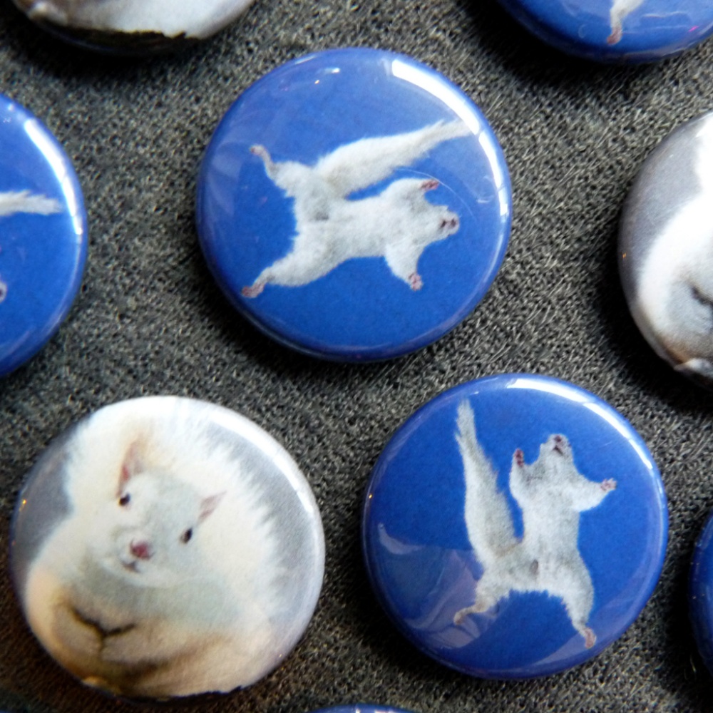 White Squirrel Buttons